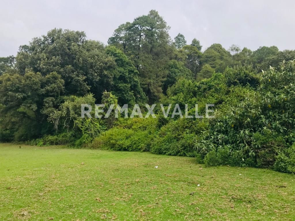 Terreno en Amanalco de Becerra, Amanalco, foto 24 de 34