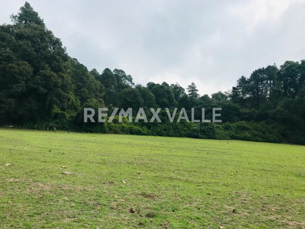 Terreno en Amanalco de Becerra, Amanalco, foto 4 de 34
