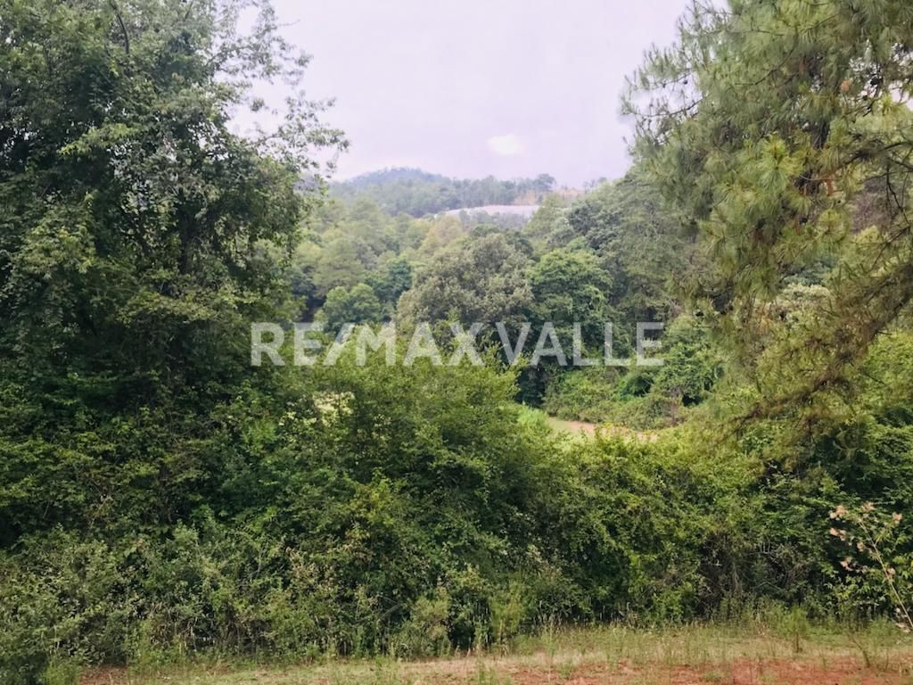 Terreno en Amanalco de Becerra, Amanalco, foto 29 de 34