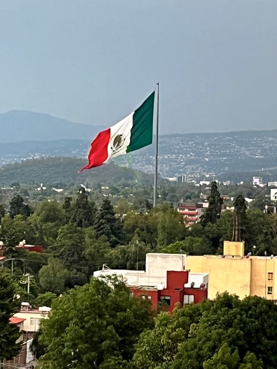 10 de 13: Bandera San Jerónimo en Todo su Esplendor