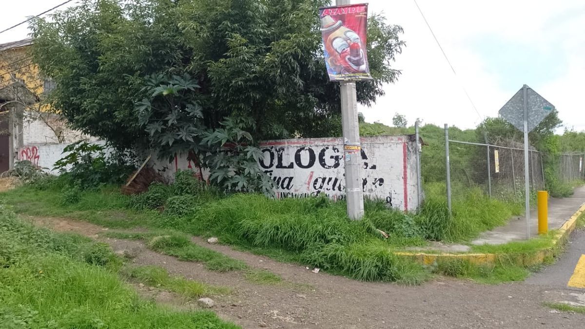 5 de 7: vista frontal que da al libramiento
