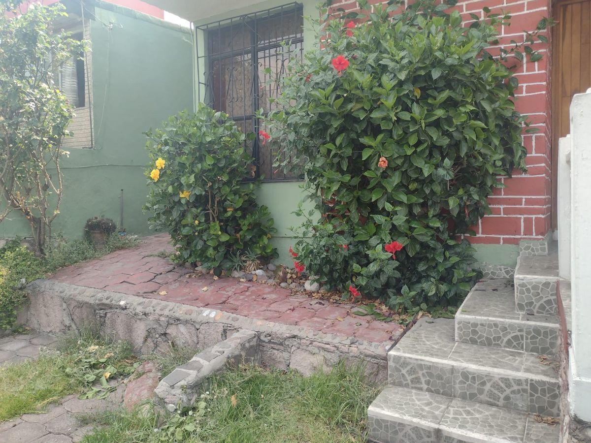 Imagen 3 de 9