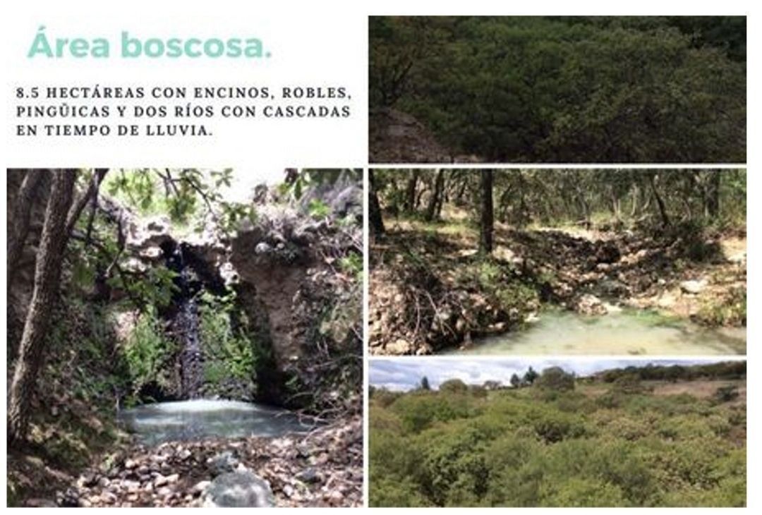 Imagen 7 de 10