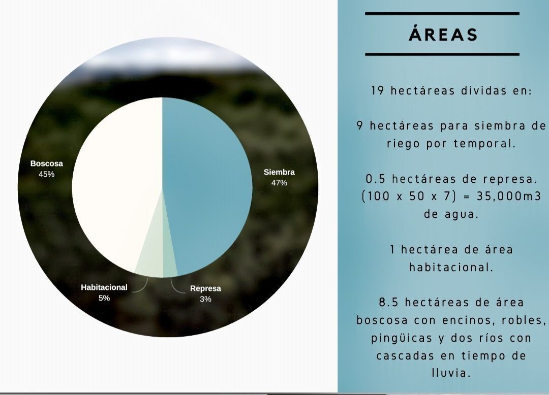Imagen 6 de 10