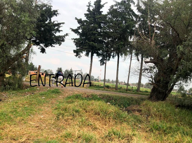 2 de 16