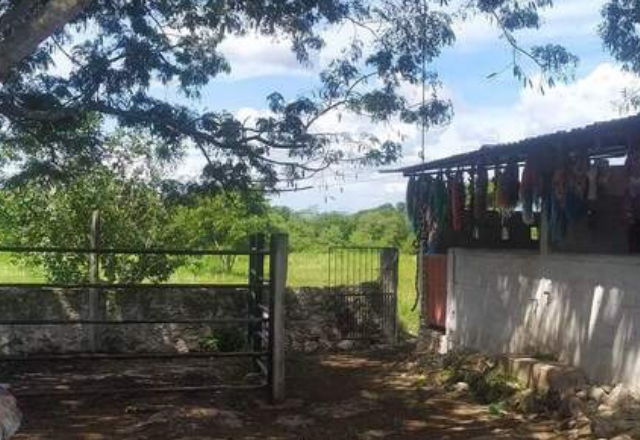 Rancho en Ixil, Ixil, foto 4 de 4