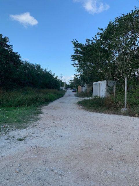 4 de 14