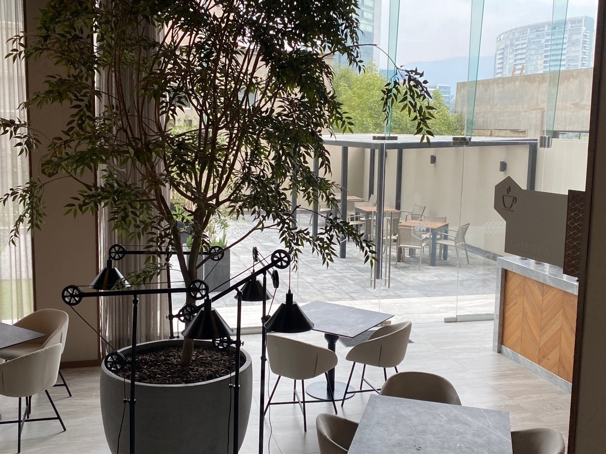 42 of 47: Servicio exterior de la cafetería. 