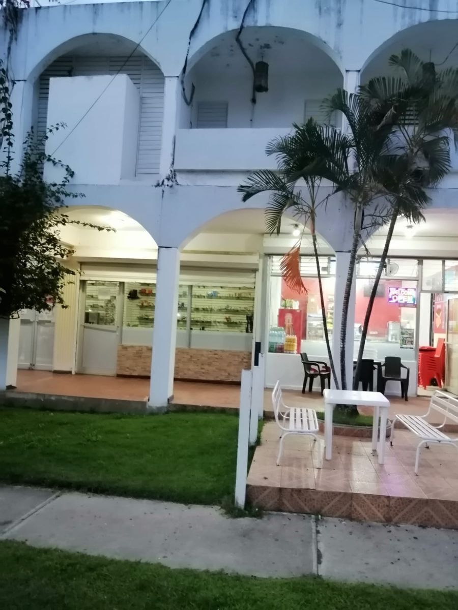 12 de 17