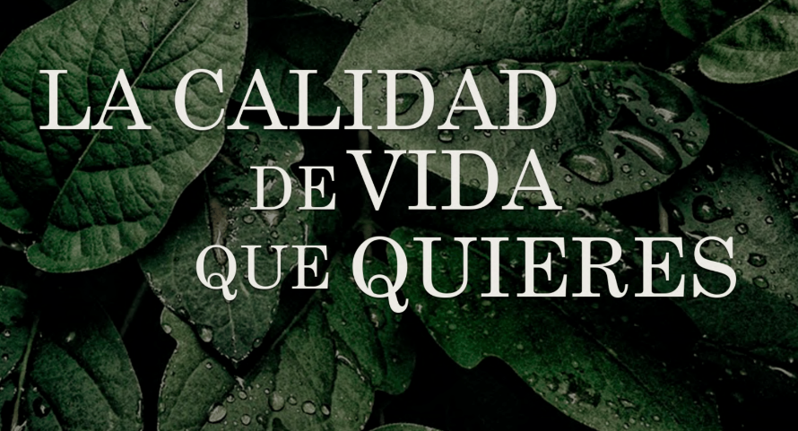 16 de 16