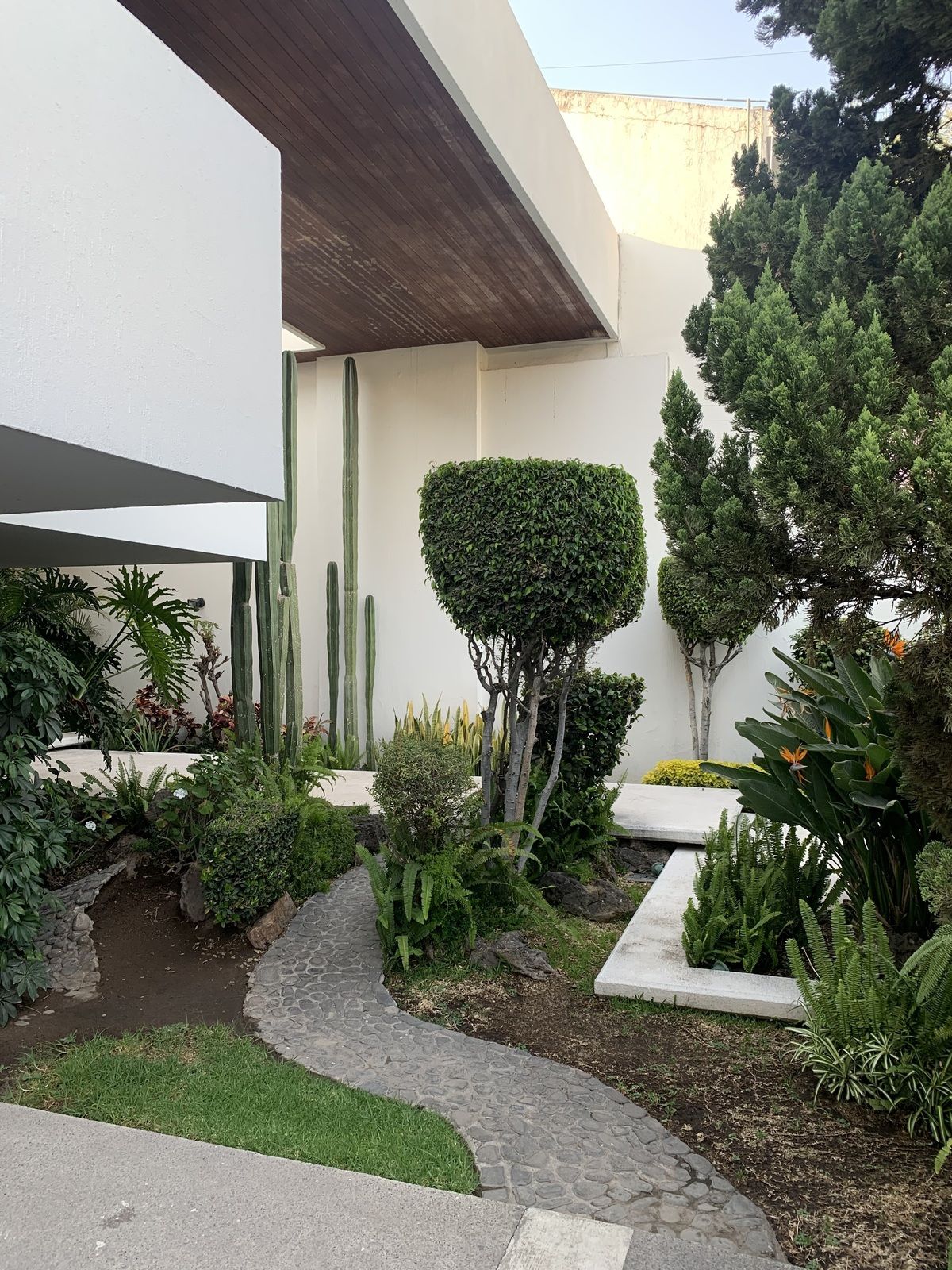 5 de 25