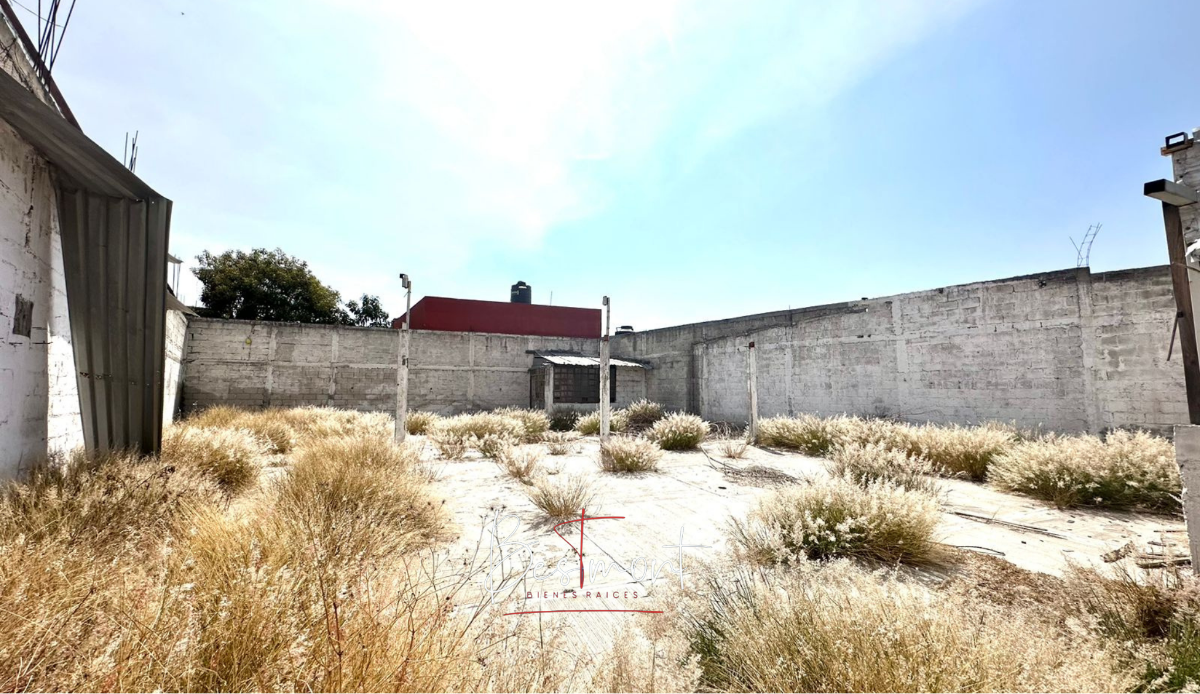 2 de 5: Interior del terreno