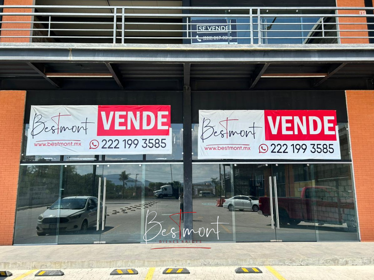 3 de 13: Frente locales