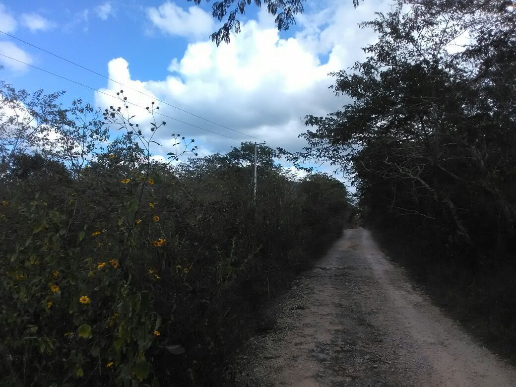 4 de 13