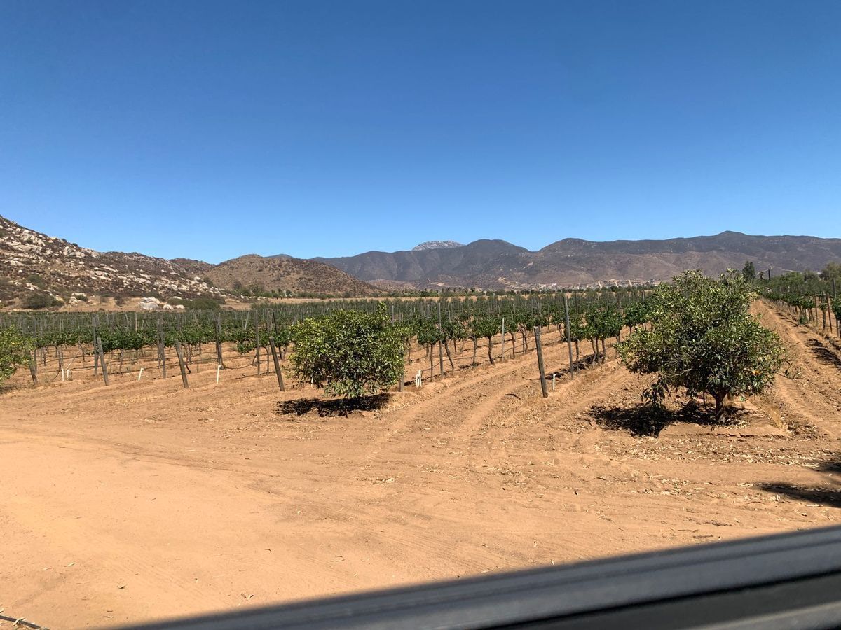 Terreno para Desarrollo en Venta - Valle de Guadalupe