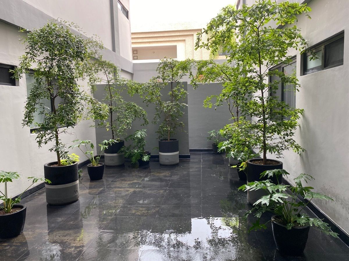 2 de 37: patio de macetas en el edificio