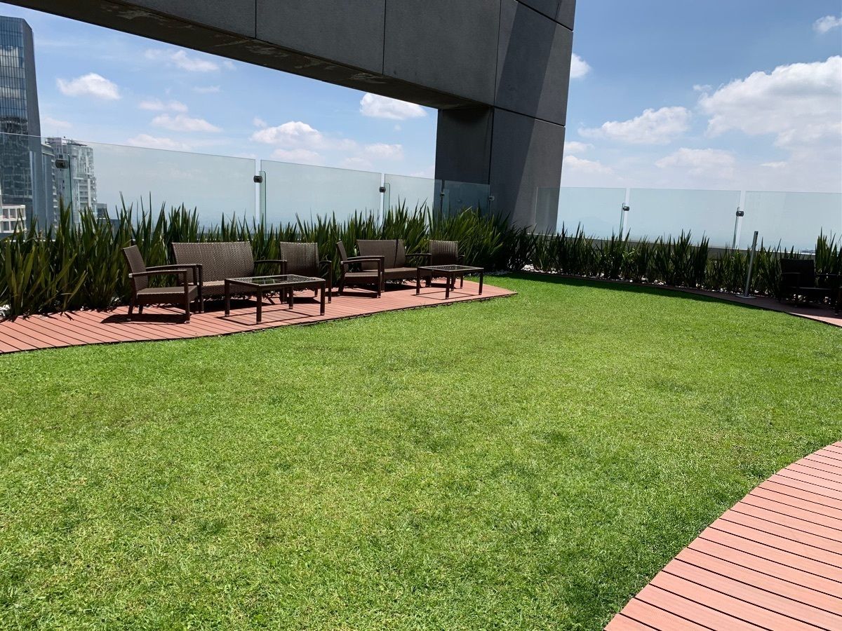 7 de 29: Terraza 
