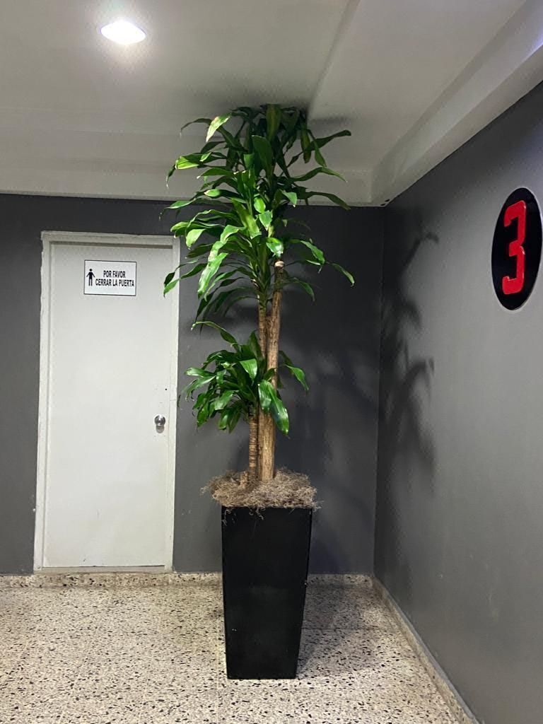Oficina en El Vergel, Santo Domingo Centro (Distrito Nacional), foto 2 de 18