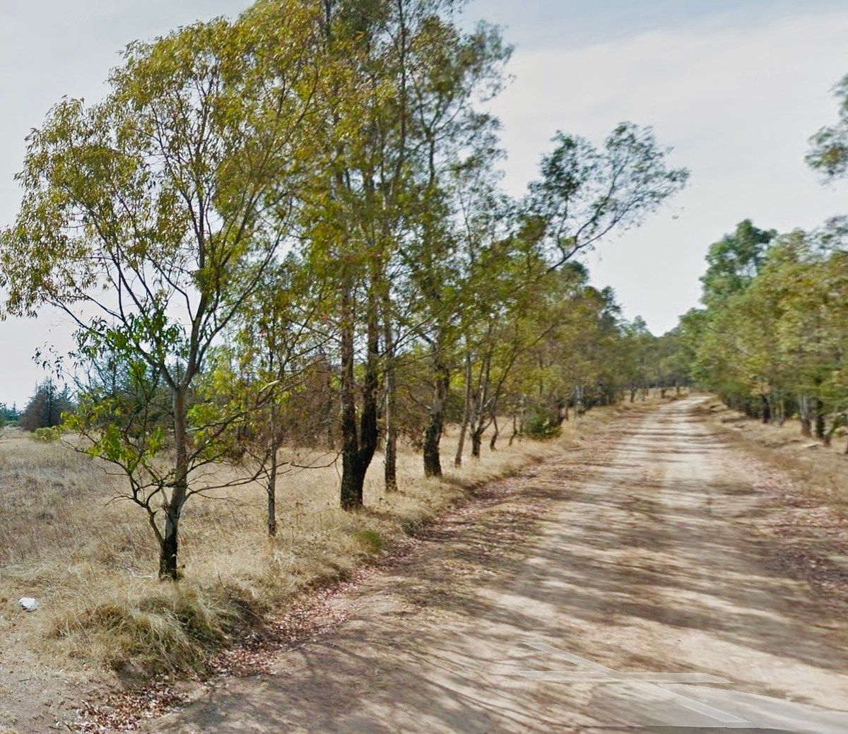 Terreno en San Miguel Dehetí, Amealco de Bonfil, foto 20 de 25