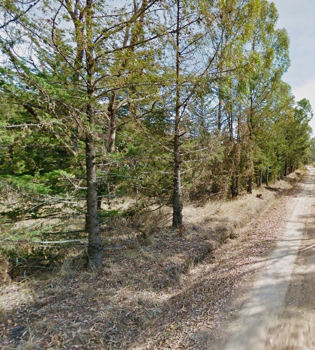 Terreno en San Miguel Dehetí, Amealco de Bonfil, foto 21 de 25