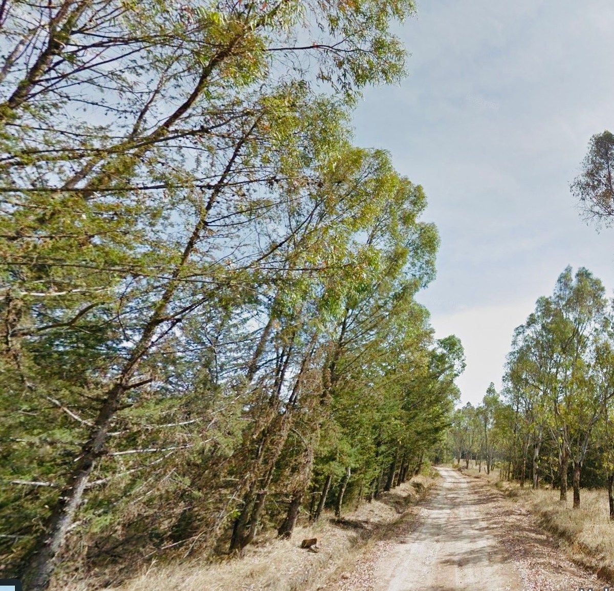 Terreno en San Miguel Dehetí, Amealco de Bonfil, foto 22 de 25