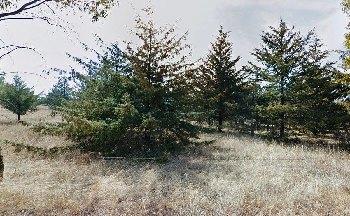 Terreno en San Miguel Dehetí, Amealco de Bonfil, foto 23 de 25
