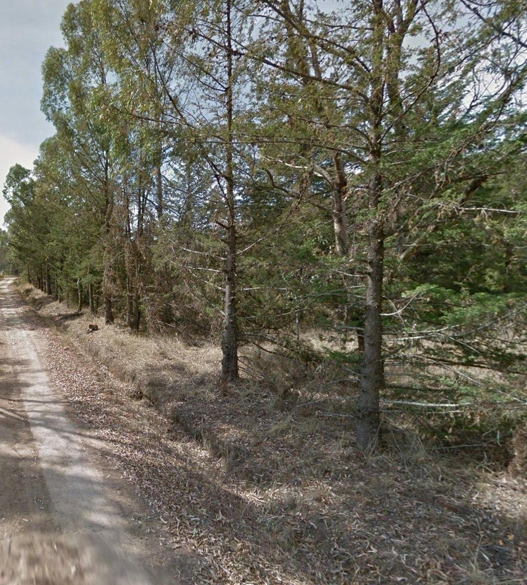 Terreno en San Miguel Dehetí, Amealco de Bonfil, foto 14 de 21