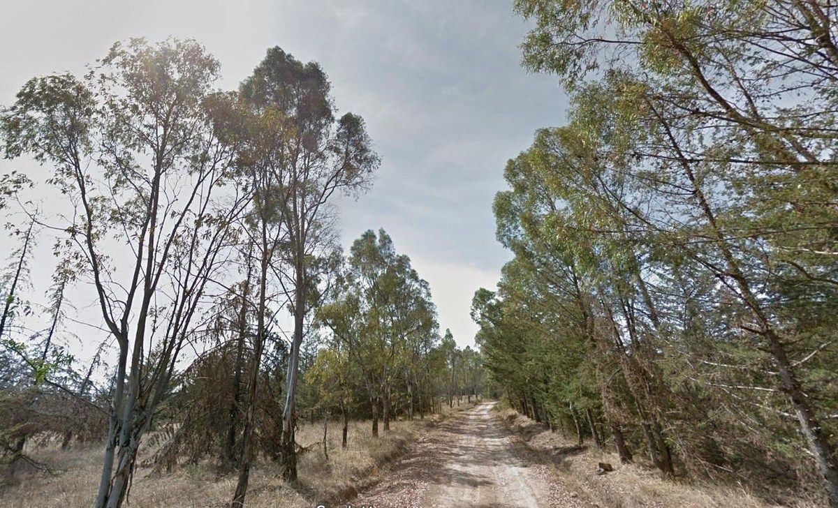 Terreno en San Miguel Dehetí, Amealco de Bonfil, foto 15 de 21