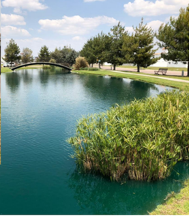 Venta DE Casa Ubicada EN Condado DEL Valle Metepec