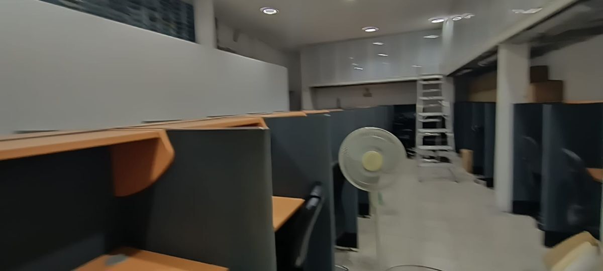 5 de 12