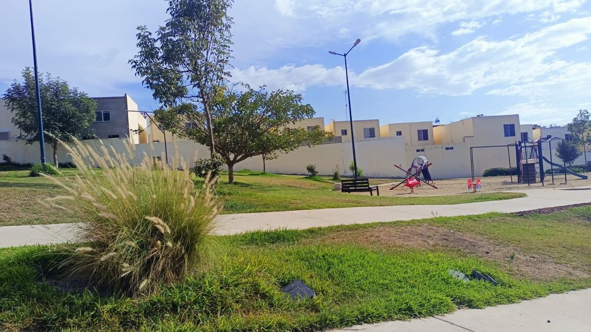 5 de 29