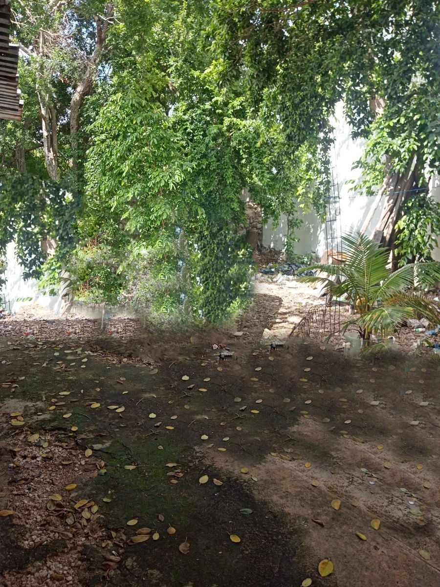 4 de 4