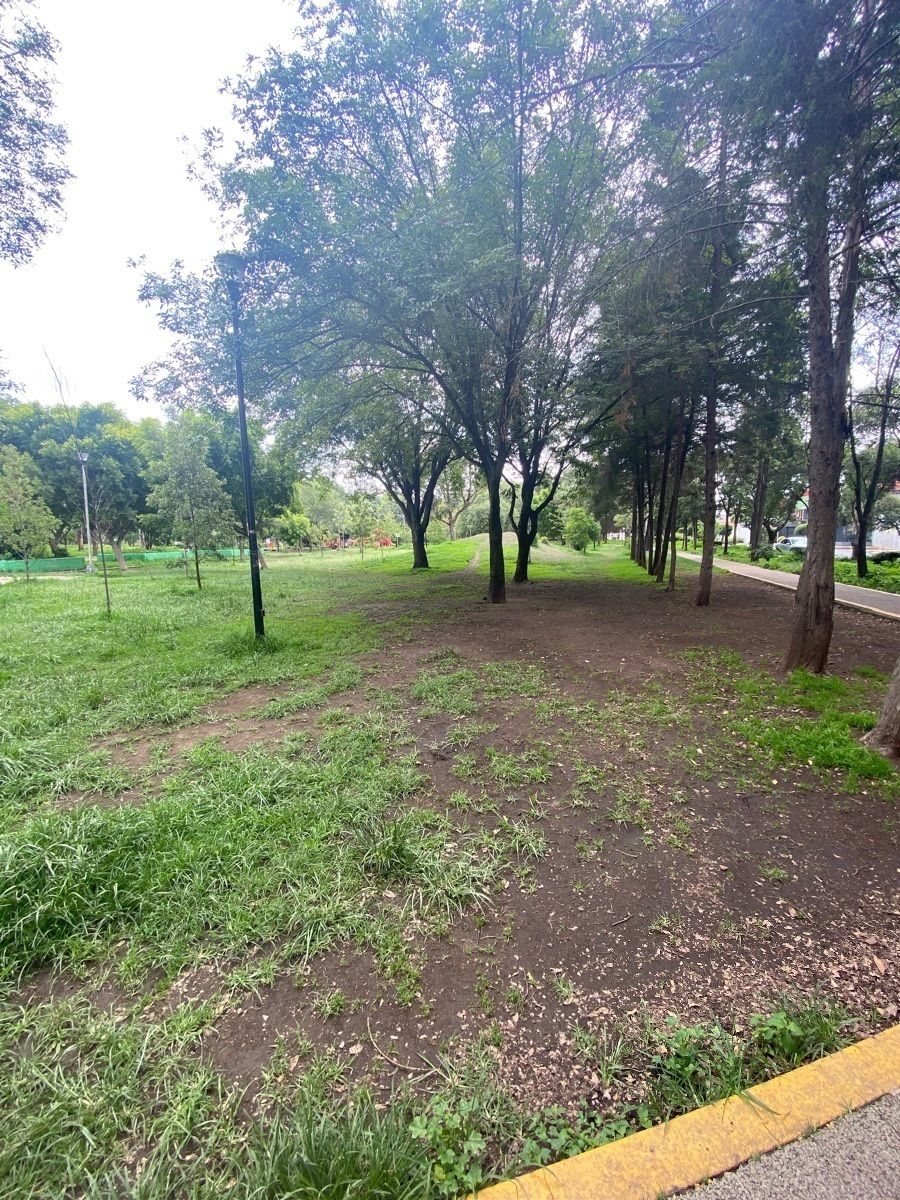 4 de 6