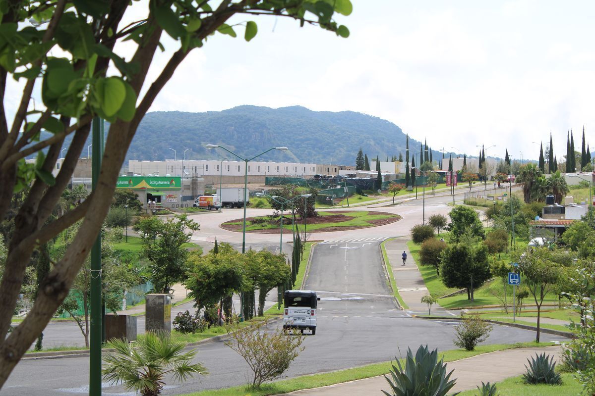3 de 13: Desarrollo