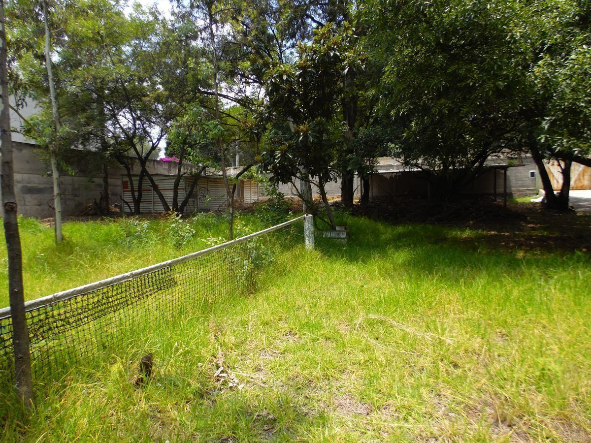 4 de 4: Terreno en Venta en Pedregal Rayo Vende ®