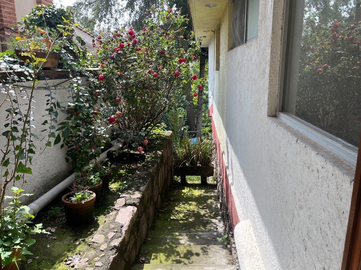 4 de 19: Entrada Independiente al departamento