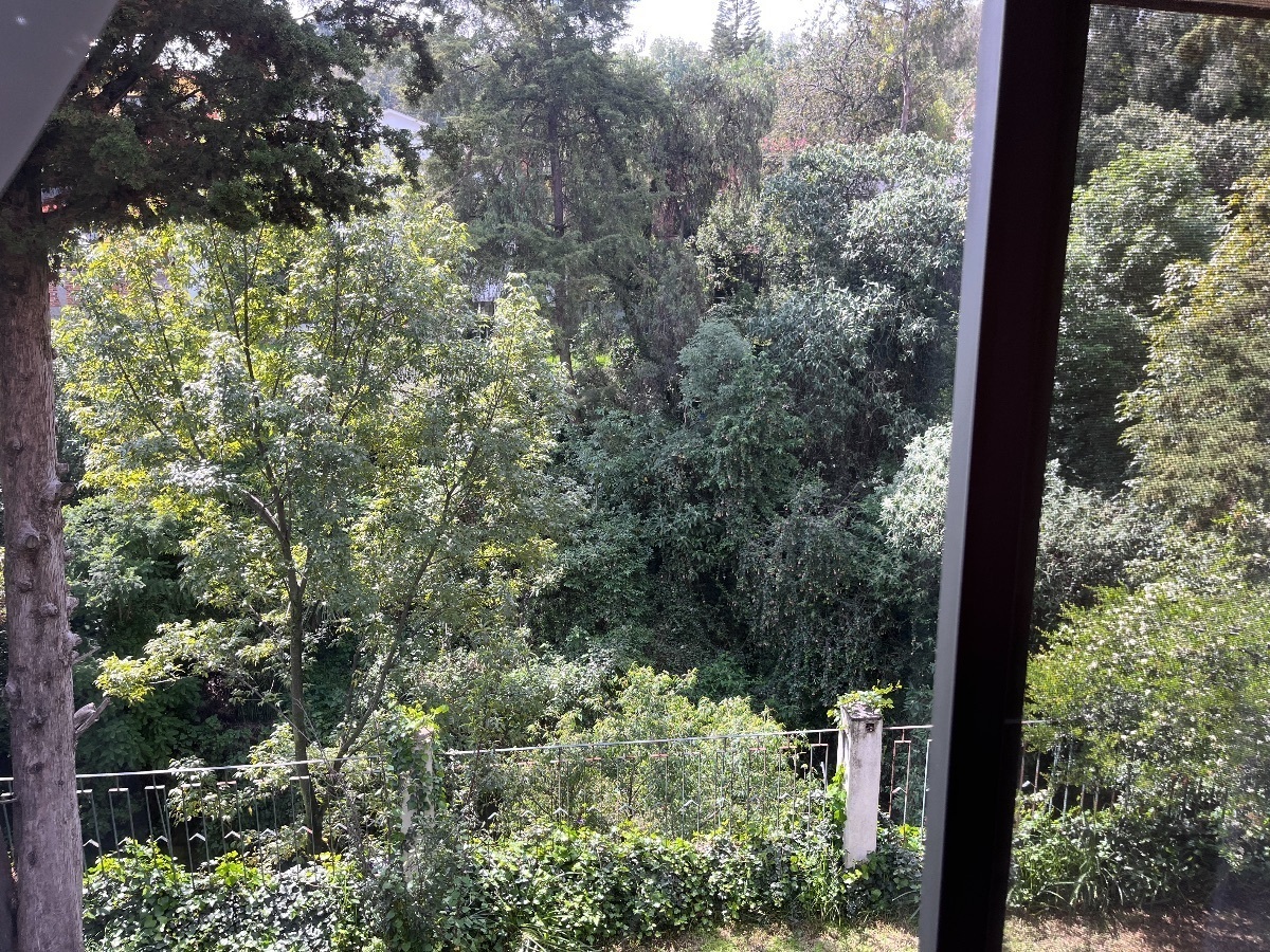 15 de 19: Vista desde la ventana del Loft