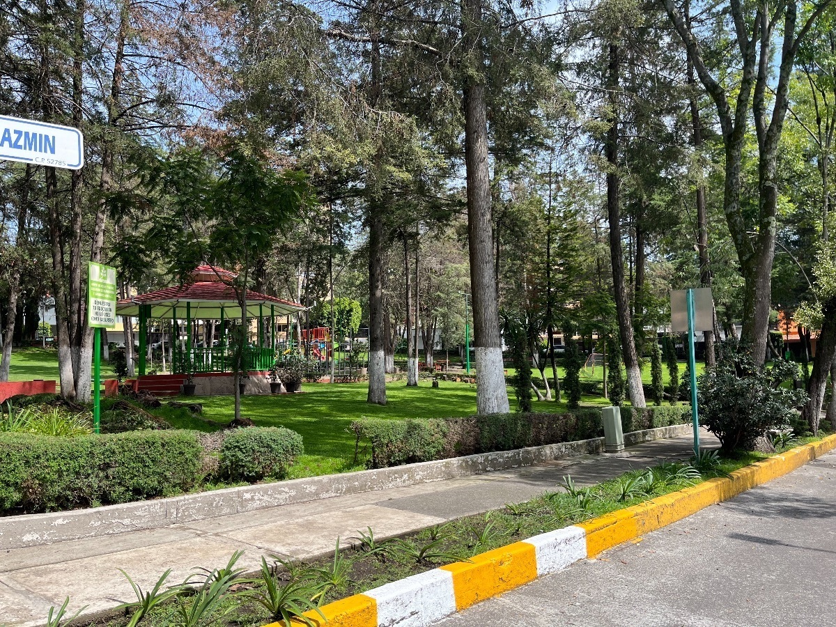 19 de 19: Parque central del fraccionamiento