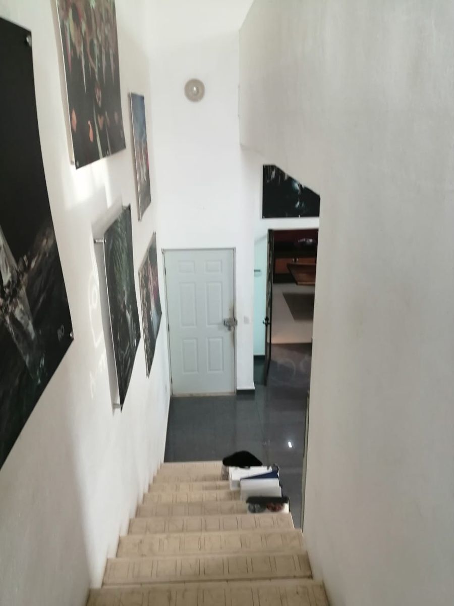 6 de 19