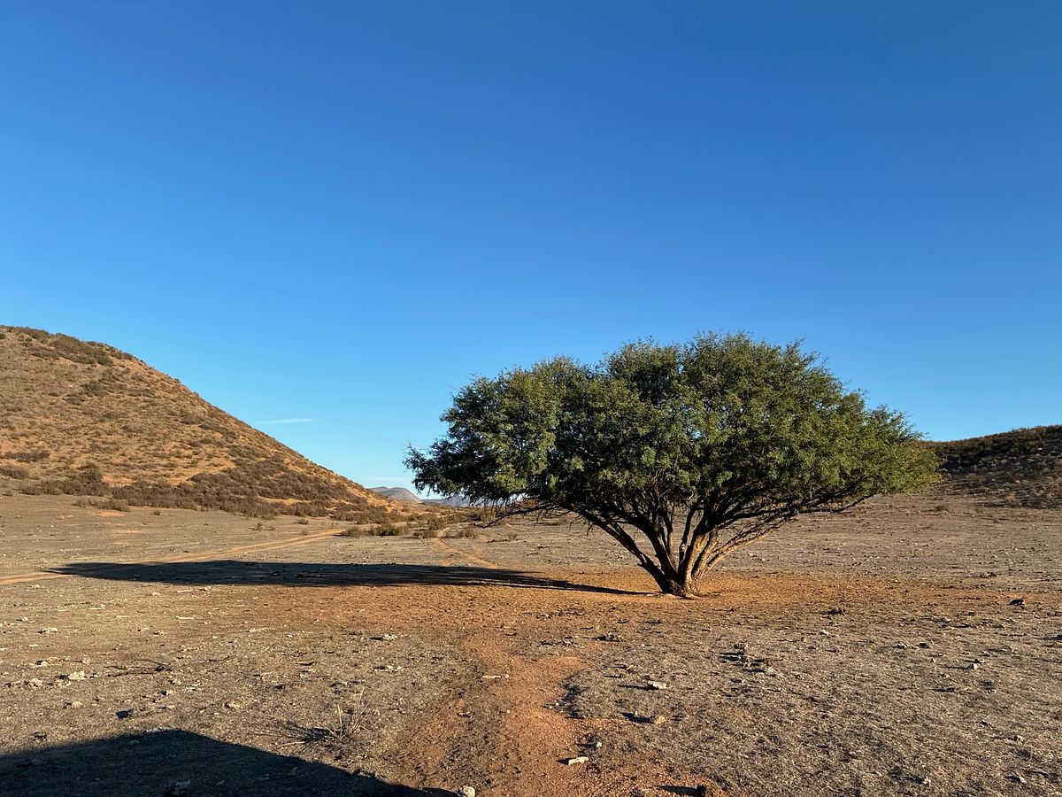 Casa em condomínio fechado em Valle de Guadalupe, Ensenada, foto 9 de 25
