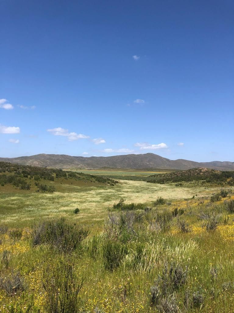 🌾 Terreno Campestre en Venta — Vallecitos 54