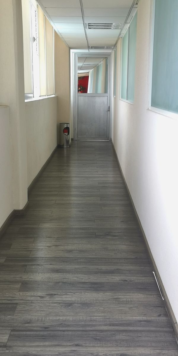 3 de 8: Pasillo de entrada a las oficinas