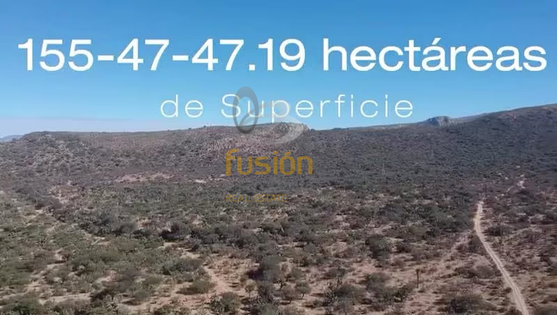 4 de 7