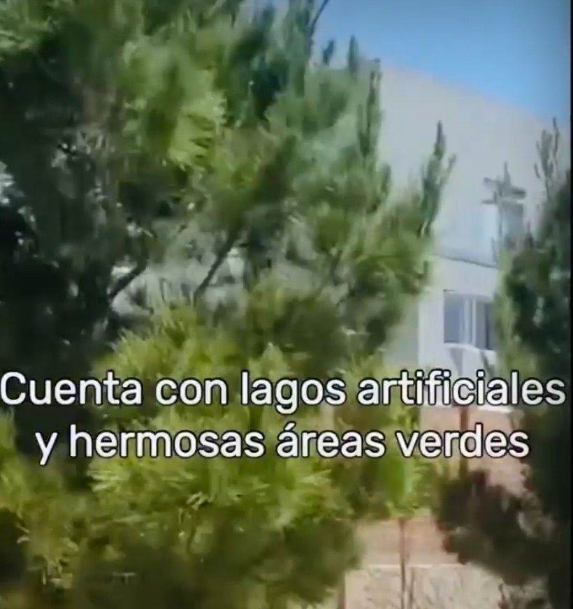 5 de 5