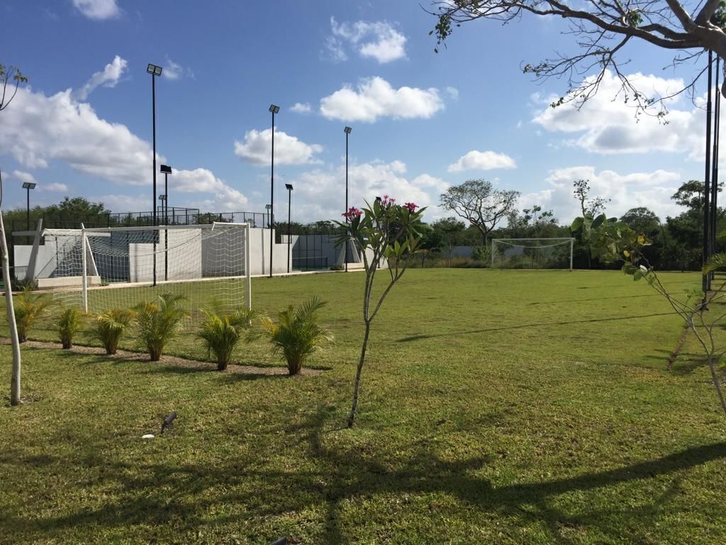 26 de 29