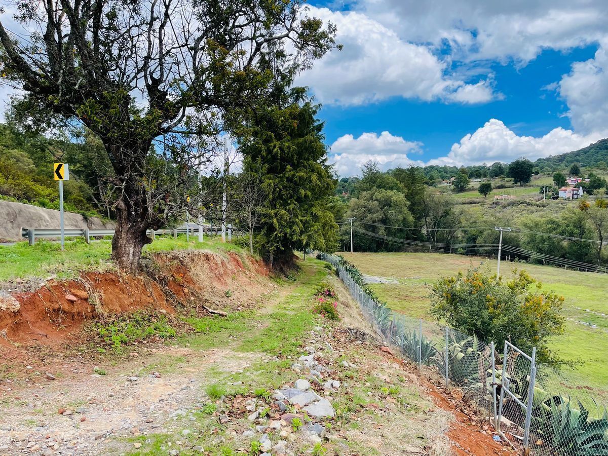 Venta de Lotes en Mazamitla - foto 2