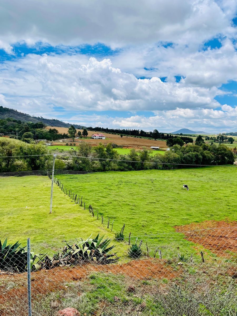 Venta de Lotes en Mazamitla - foto 4
