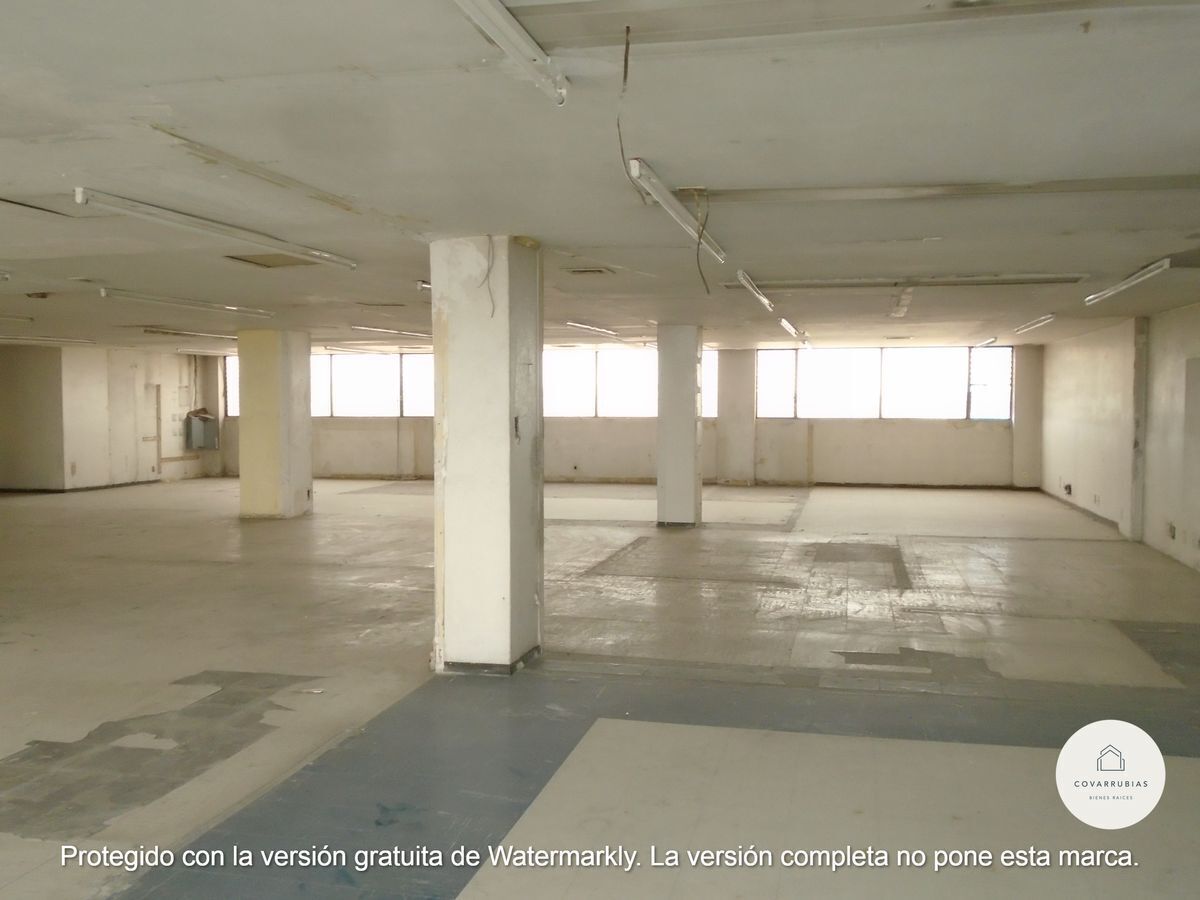 11 de 23
