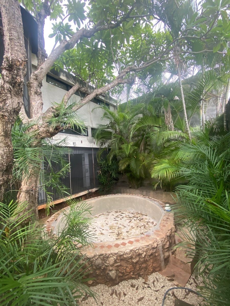 1 de 20