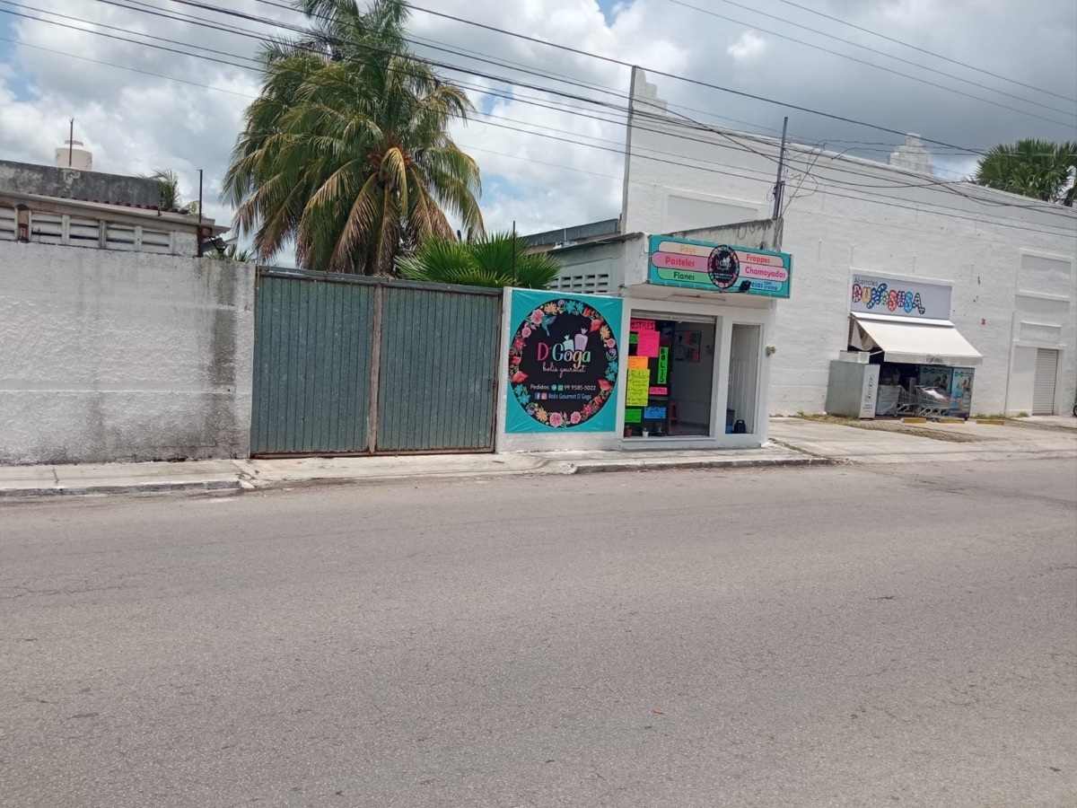 3 de 11